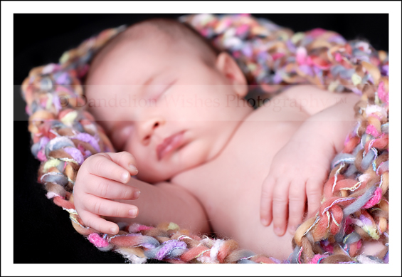 Newborn Baby Portraits Northern VA Newborn Baby Portraits Northern VA
