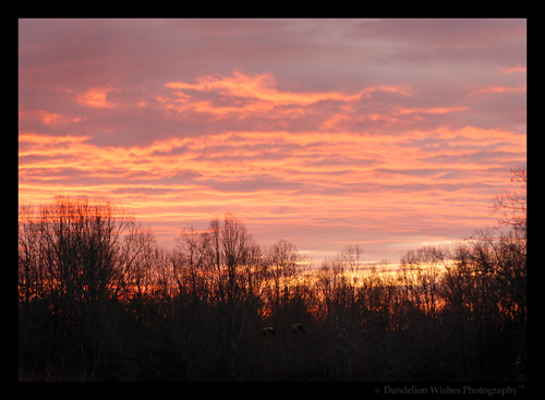 Beautiful Sunrise in Warrenton VA Beautiful Sunrise in Warrenton VA