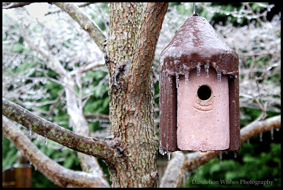 Icey Home in Warrenton VA