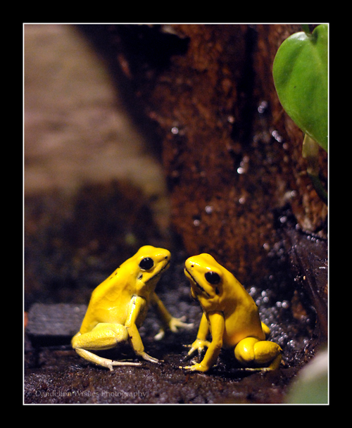 Natl Geographic Exhibit Washington DC