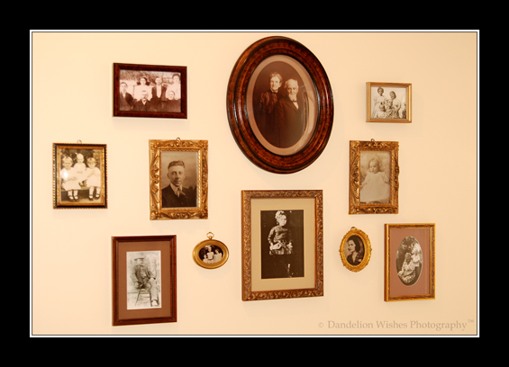 Family Portraits 