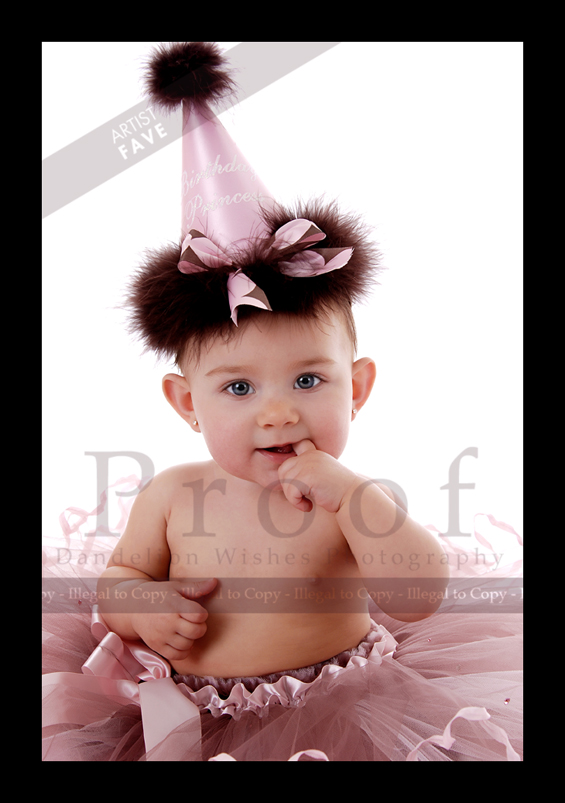 First Birthday Portraits Northern VA
