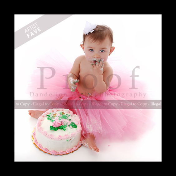 First Birthday Cake Portrait Sessions