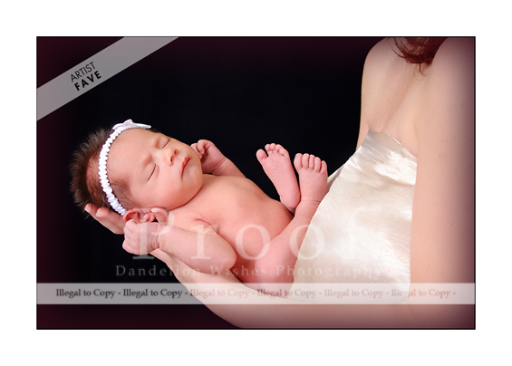 Newborn Portraits Northern VA