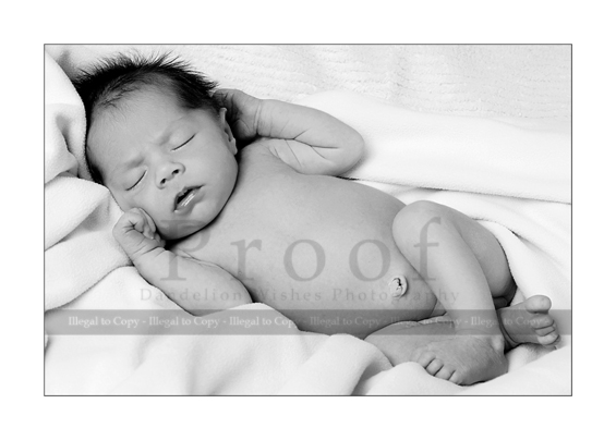 prince william nanny prince william childhood pics. near Prince William County