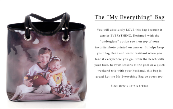 Gina Alexander My Everything Photo Bag
