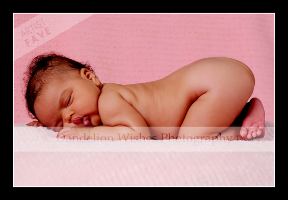 Baby & Newborn Photography