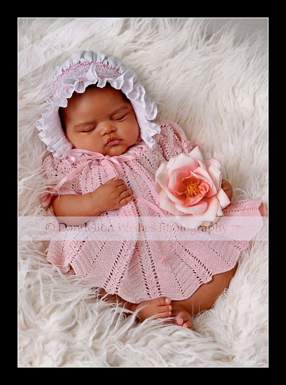 Infant baby photos