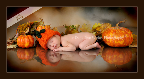 Newborn Photographers in Northern Virginia