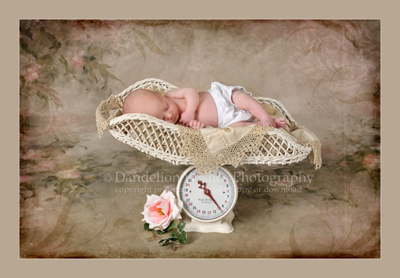 The best in Newborn Photography - Northern Virginia