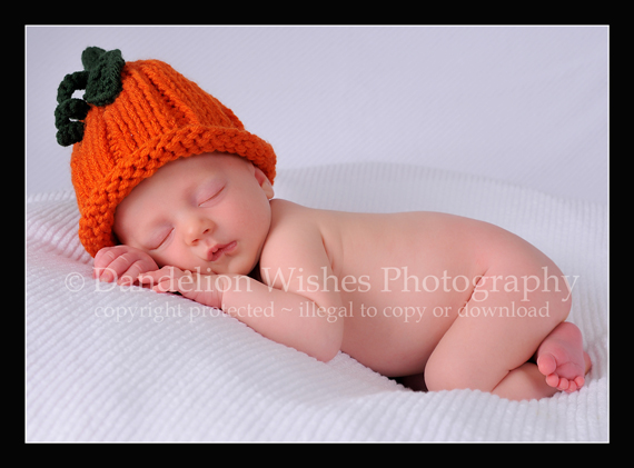 Newborn Photographer - Northern Virginia - your baby as art™ Newborn Photographer - Northern Virginia
