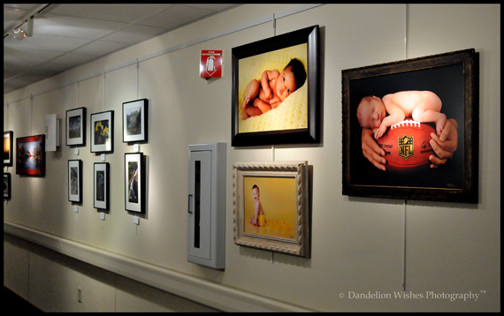 Maternity Newborn Photographers - Northern Virginia - Warrenton
