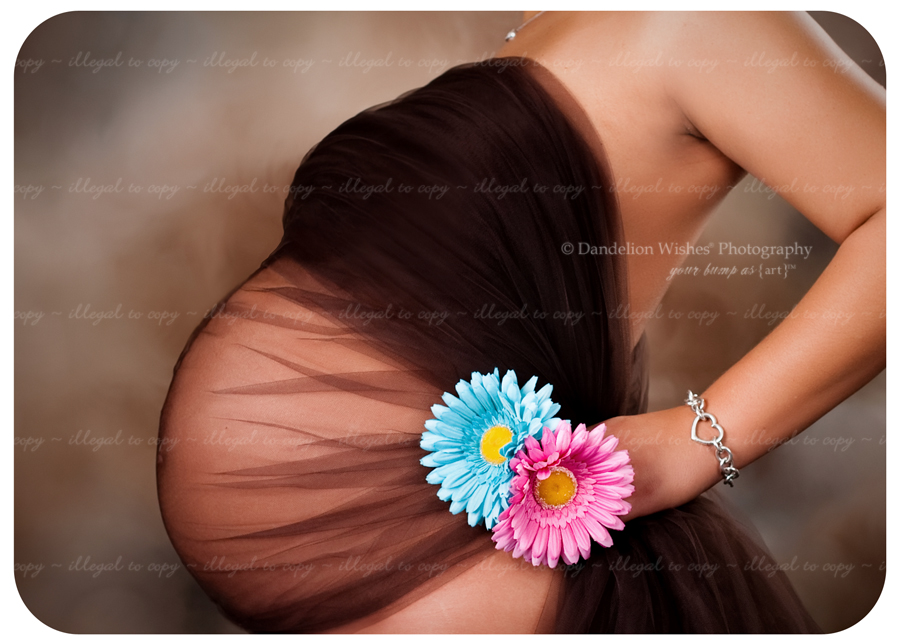 Expecting Twins Maternity & Pregnancy pictures near Charlottesville, VA 22901, 22902, 22903, 22904, 22905, 22906, 22907, 22908, 22909, 22910, 22911 ~ Portrait Studios near Albemarle Co. Virginia Expecting Twins Pregnancy & Maternity photos near Charlottesville, VA 22901, 22902, 22903, 22904, 22905, 22906, 22907, 22908, 22909, 22910, 22911 ~ Portrait Studios near Albemarle Co. Virginia