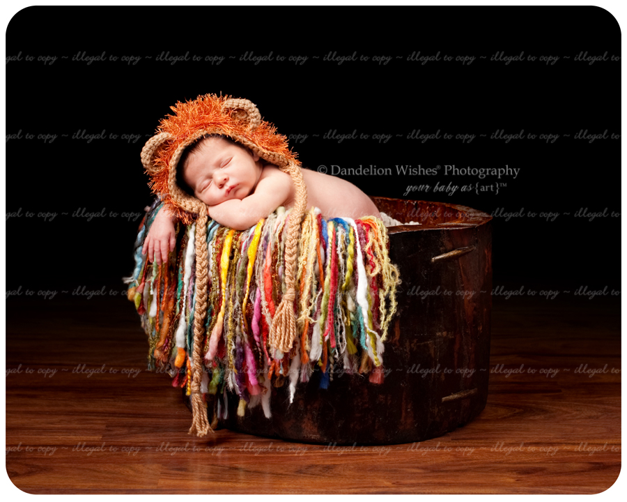 Best artistic newborn photographer near Reston VA 20194, 20190, 20191, 20193, 20195, 20196, 22096 Best artistic newborn photographer near Reston VA 20194, 20190, 20191, 20193, 20195, 20196, 22096