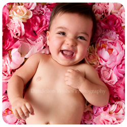 Northern Virginia's premier baby photographer and portrait studio.