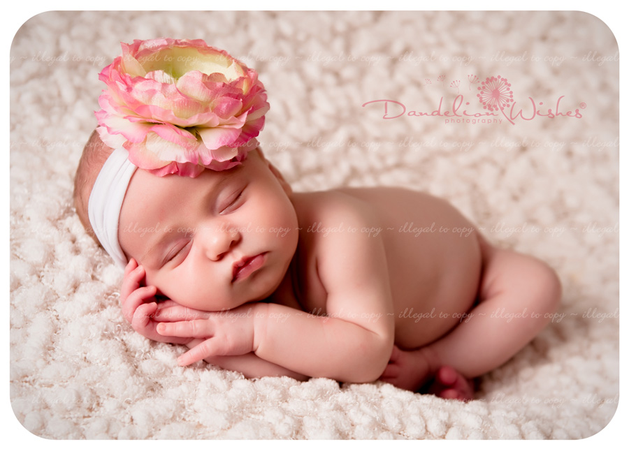 Premier newborn photographer to Old Town Alexandria, VA.