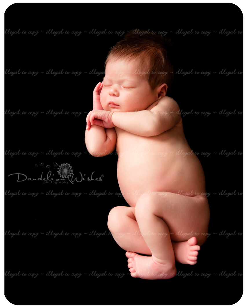 Newborn baby portrait studio near Reston, Virginia ~ Northern VA. Newborn baby portrait studio near Reston, VA ~ Northern Virginia.