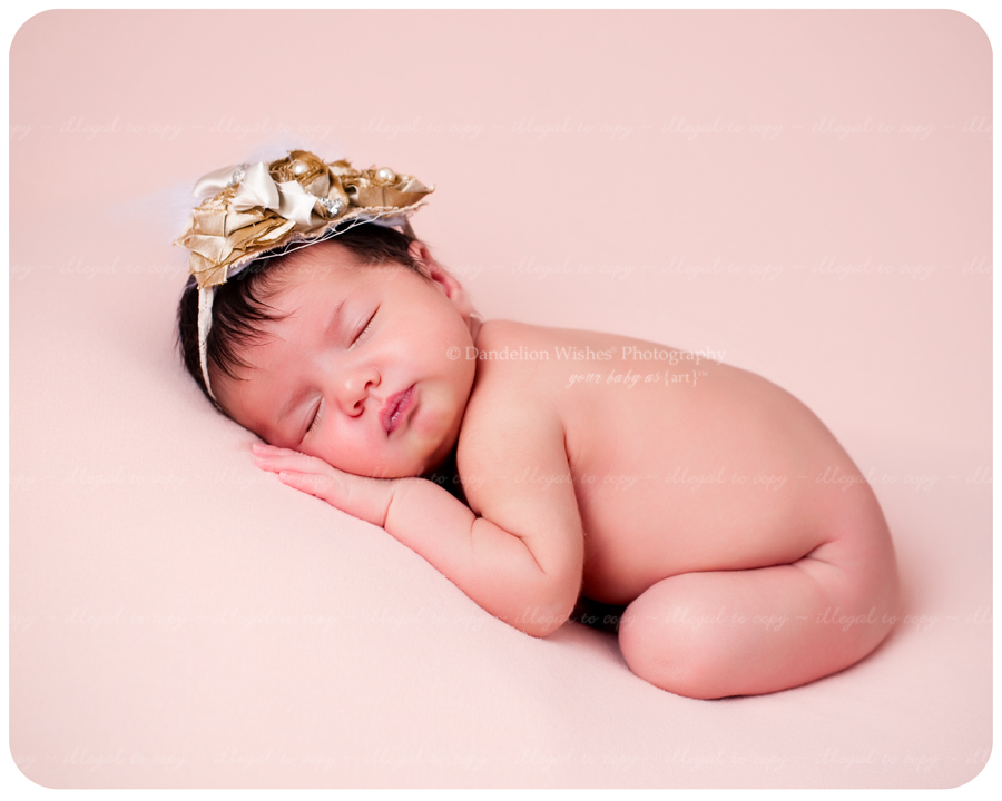 Premier photographer specializing in brand new newborn photography...close to McLean, VA 22101, 22102.