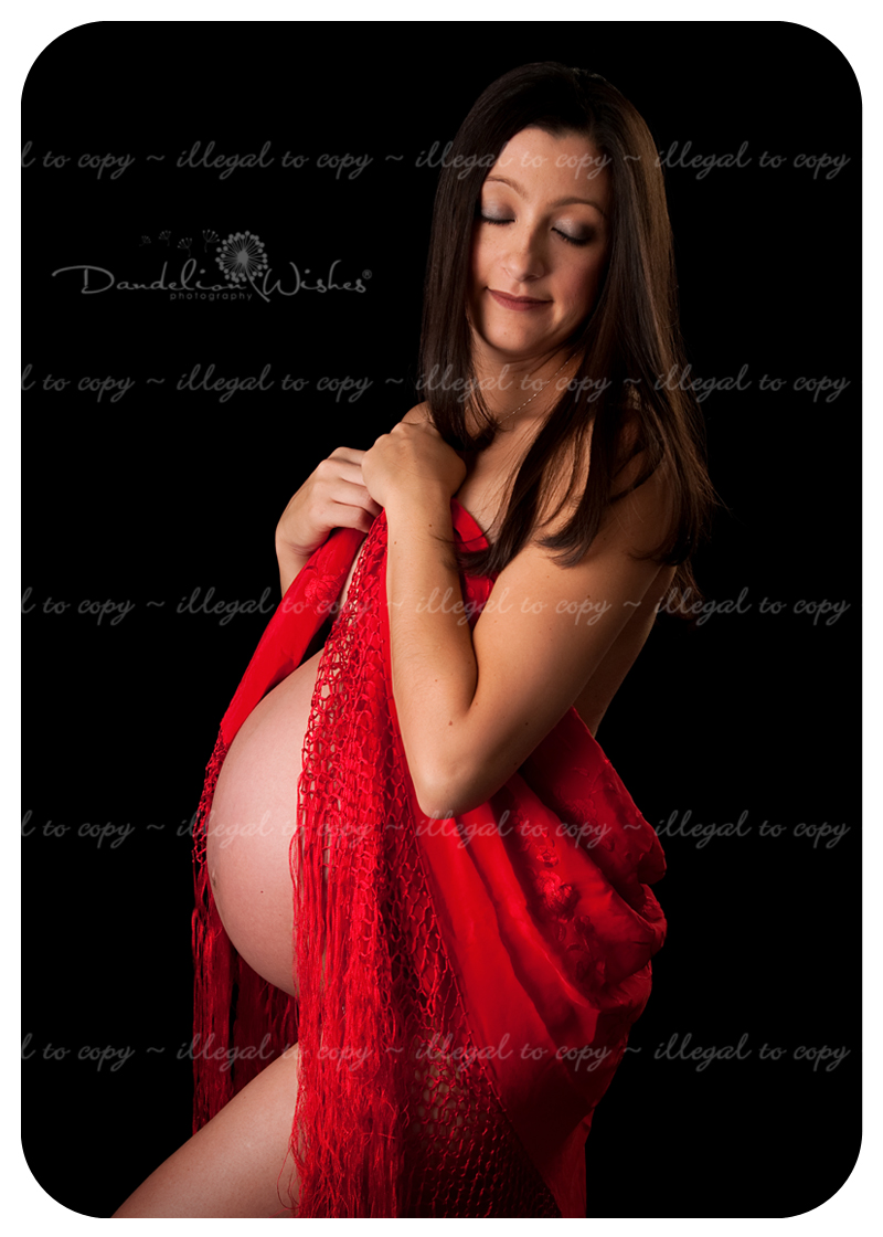 Professional Pregnant Pics 21