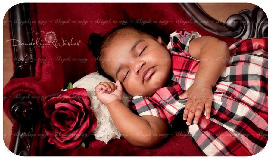 professional baby photographer in the washington d.c. metro area