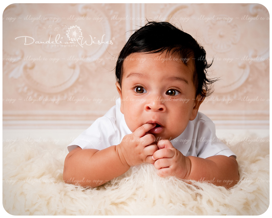 artistic professional baby photos northern virginia 