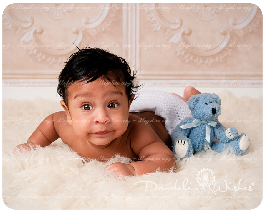 best baby photographer in the northern virginia washington dc metro area