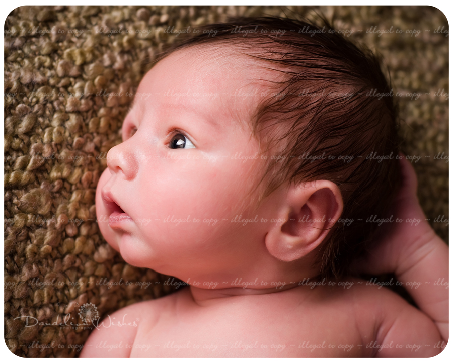 Newborn Photographers ~ Photography Studio close to Falls Church, VA. Newborn photographer close to Falls Church, VA.