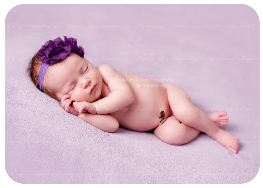 Newborn photographer close to Falls Church, Virginia 22040, 22041, 22042, 22043, 22044, 22046