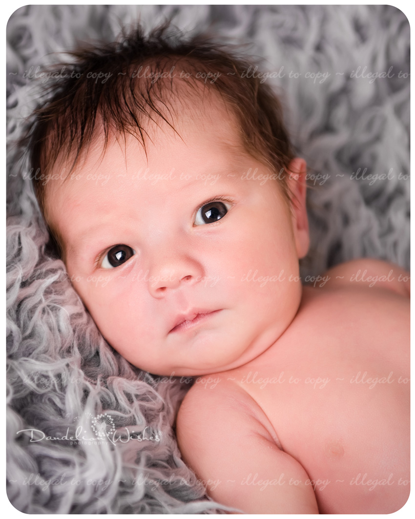 Newborn Photography Studio ~ Newborn Photographers serving Falls Church, VA and Northern Virginia. Newborn photographer serving Falls Church, VA and surrounding area.