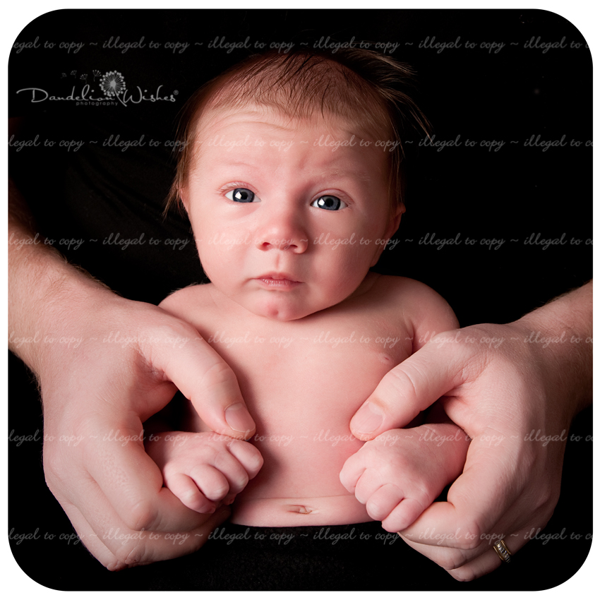 unique newborn photography Front Royal & Winchester area 