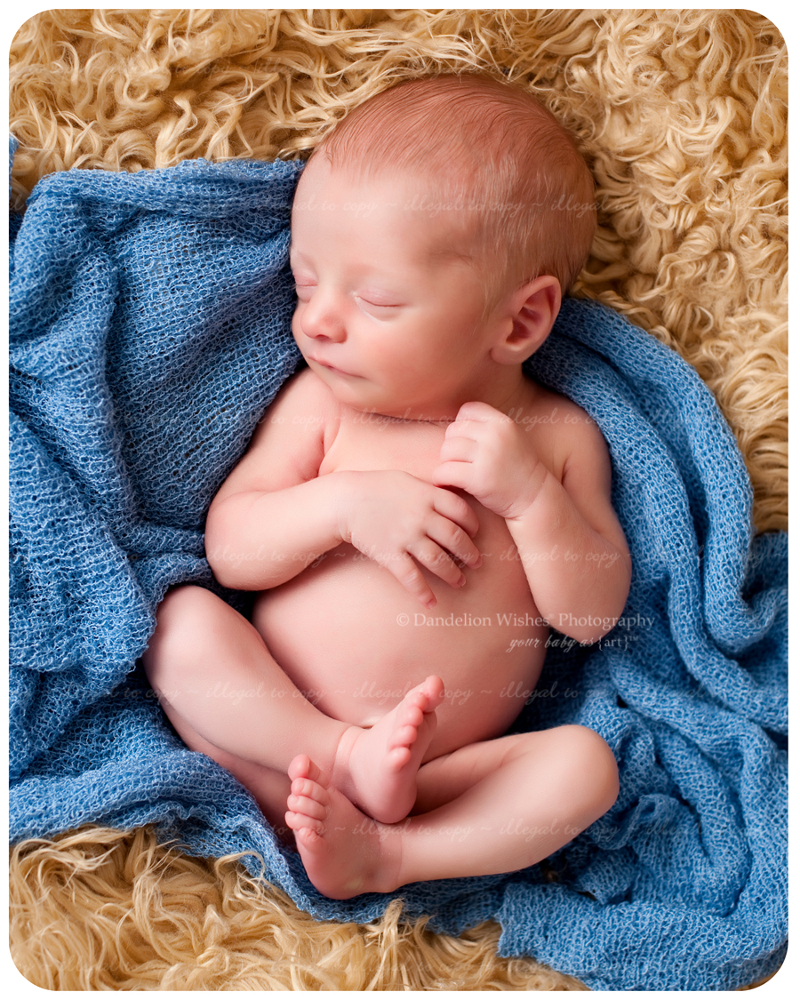 Best newborn baby photography studio...near to McLean, VA 22101, 22102.