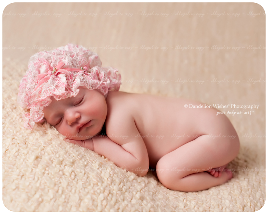 Newborn baby pictures near Alexandria, VA 22310,22309,22308,22306,22307 and 22314.