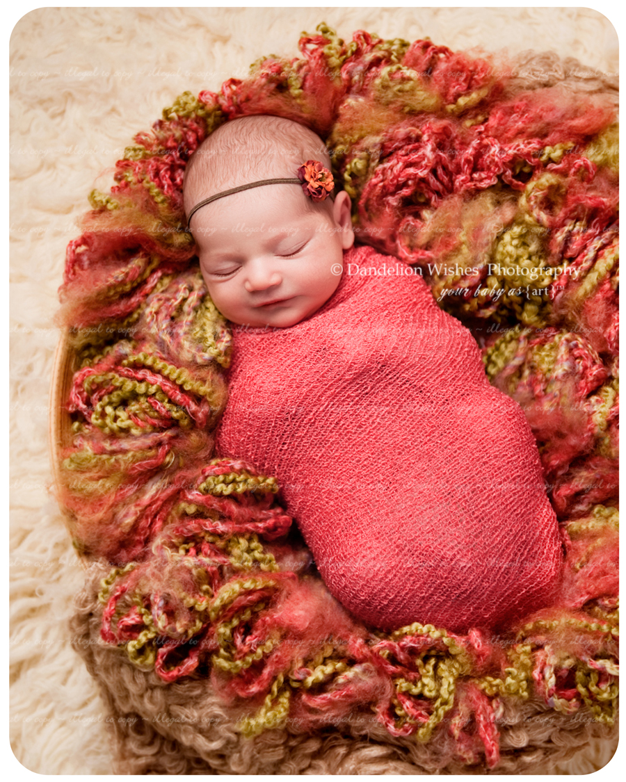 Newborn baby pictures near Alexandria, VA 22310,22309,22308,22306,22307 and 22314.