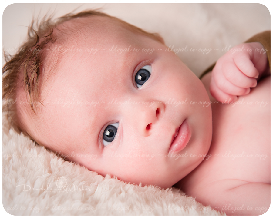 newborn baby photographer near winchester, virginia