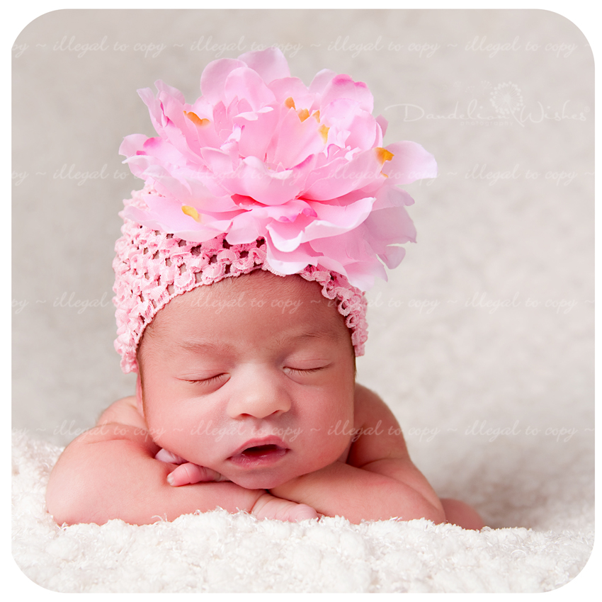 "your baby as {art}"™ newborn baby portrait studio near alexandria virginia