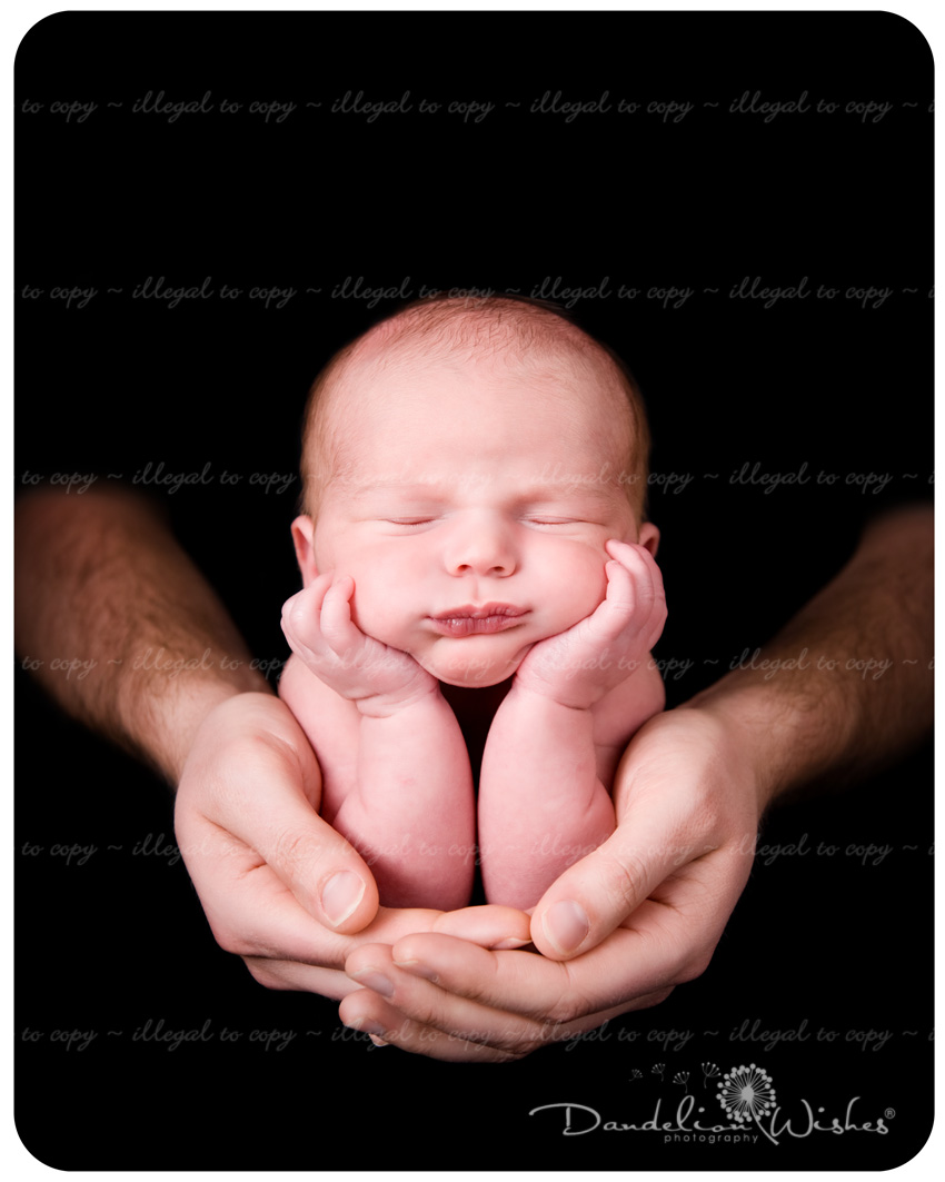 Top Newborn Photographers ~ near Loudoun County Virginia, Ashburn, VA area. Newborn photographer near Ashburn, VA.