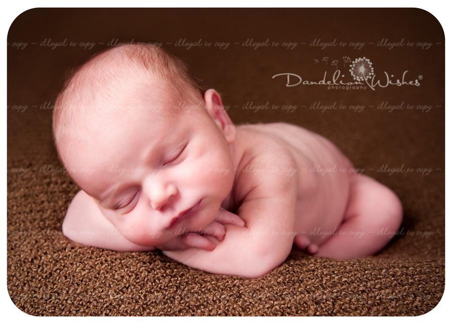 Best newborn photographer ~ near Brambleton, Virginia in Loudoun County, VA. Best newborn photographer ~ near Brambleton, Virginia in Loudoun County, VA.