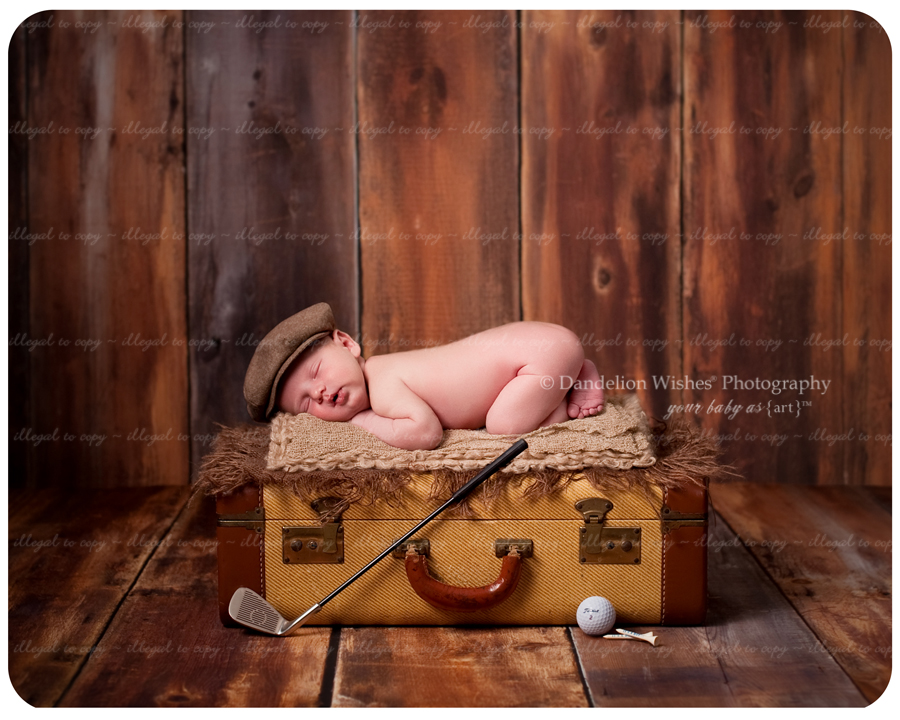 Exclusive Newborn Photographer ~ near Loudoun County Virginia, Ashburn, VA  20146, 20147, 20149 and 22093 - Brambleton VA 20148 area. 