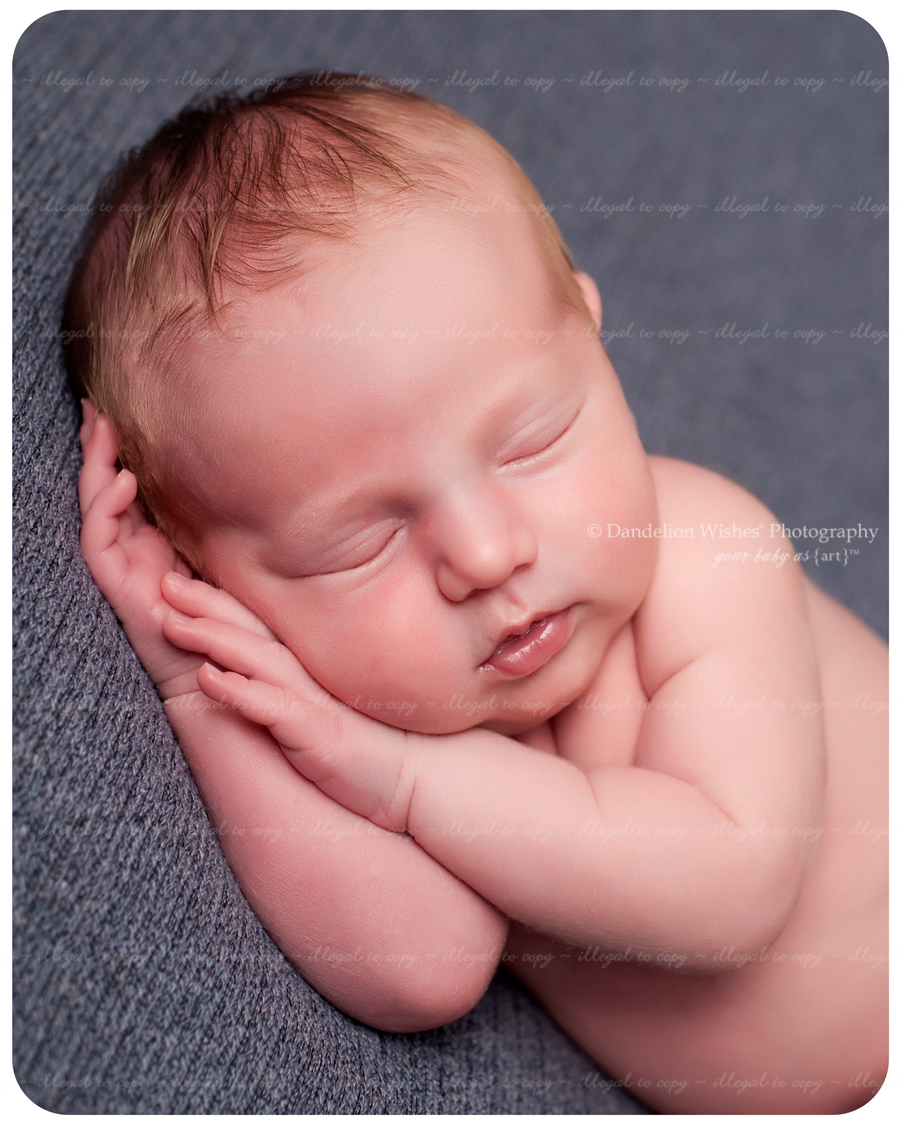 Exclusive Newborn Photographer ~ near Loudoun County Virginia, Ashburn, VA  20146, 20147, 20149 and 22093 - Brambleton VA 20148 area. 