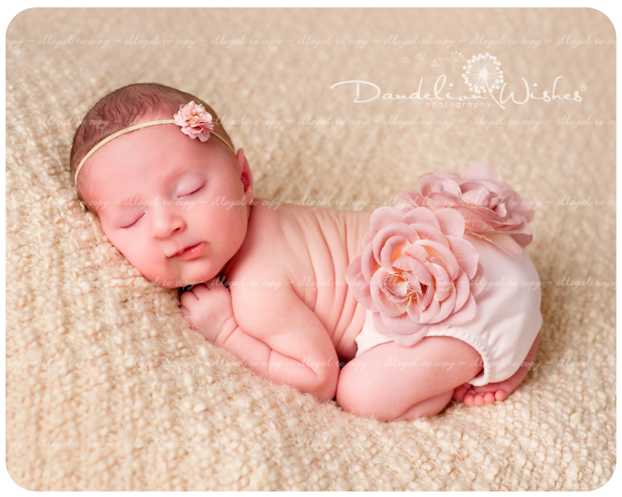 Premier newborn photographer to Falls Church, VA and the surrounding NoVa area, near 22044.