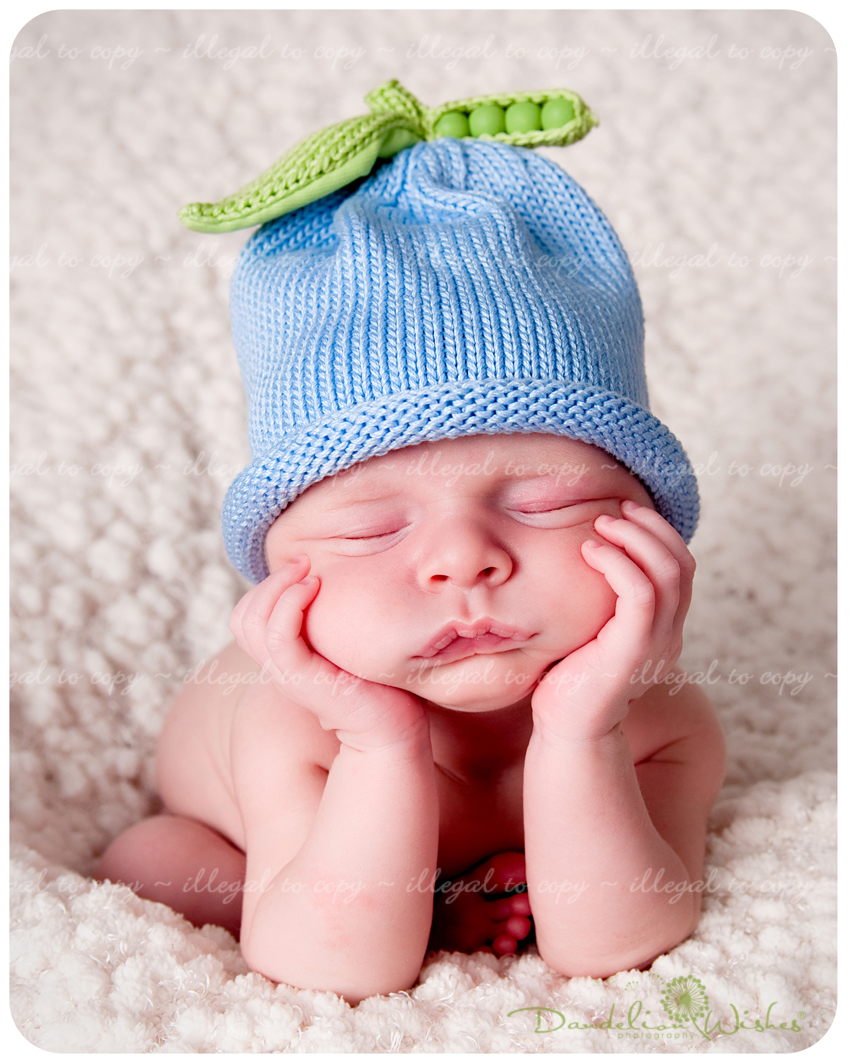 Creative and artistic newborn pictures like on The Today Show  ~  Capturing "your baby as {art}™" in the Washington D.C. metro area  ~ Near Arlington VA.