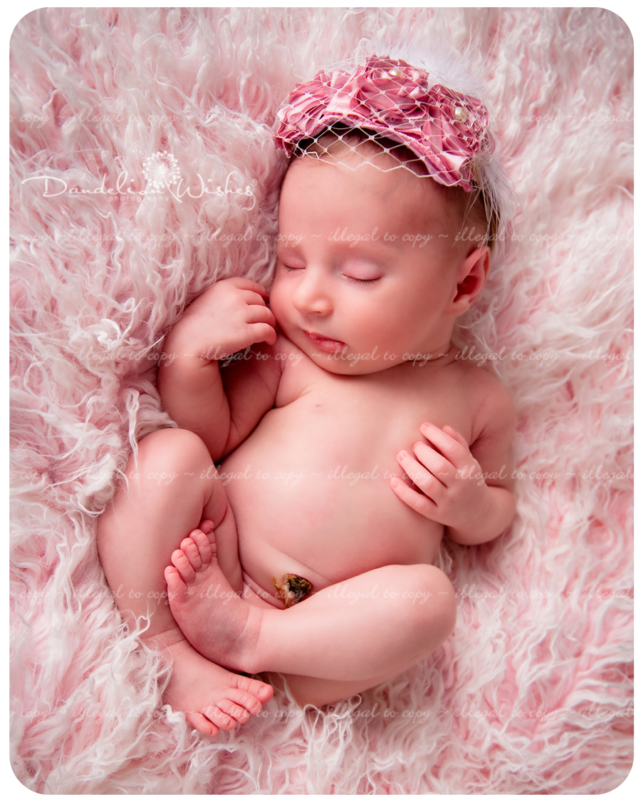 Top newborn photographer for beautiful newborn portrait art in Northern Va, including Falls Church, 22044.