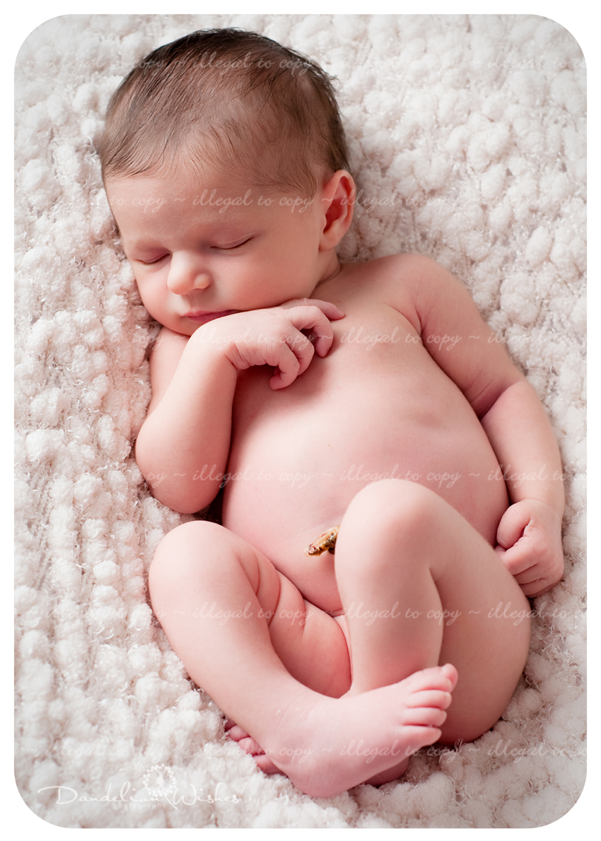 creative baby photography near leesburg virginia area - baby pictures like seen on the today show