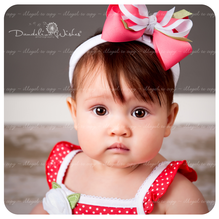 Top Baby Photo Studios ~ near Falls Church VA 22042 Top Baby Photo Studios ~ near Falls Church VA 22042