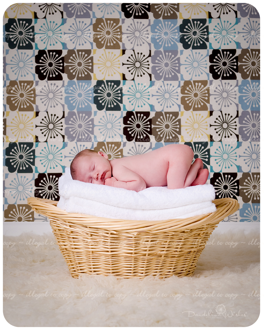 unique newborn photography near south riding virginia - the best in newborn photography.