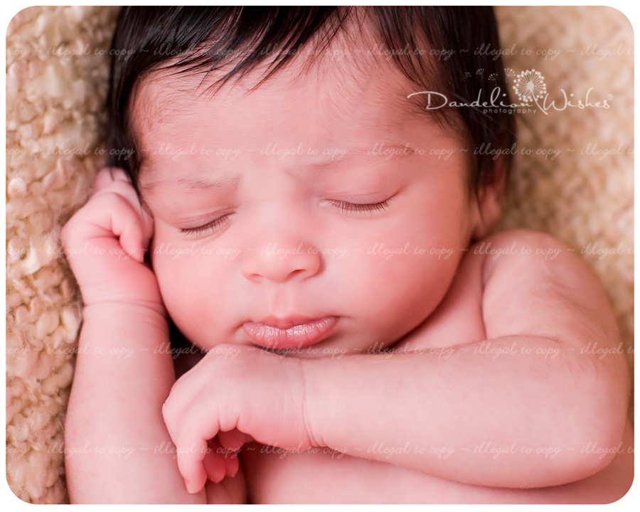 Top Baby Photo Studios ~ near Reston VA 20191 Top Baby Photo Studios ~ near Reston VA 20191