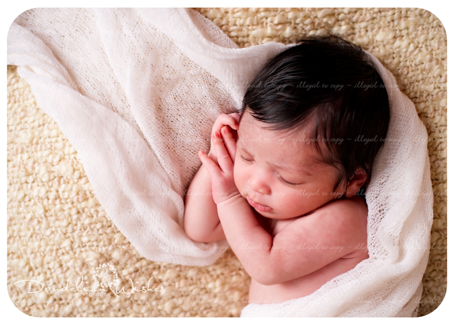 Best Baby Picture Studios ~ near Reston VA 20190 Best Baby Picture Studios ~ near Reston VA 20190