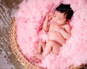 DSC_3280_blogss DSC_3280_blogss