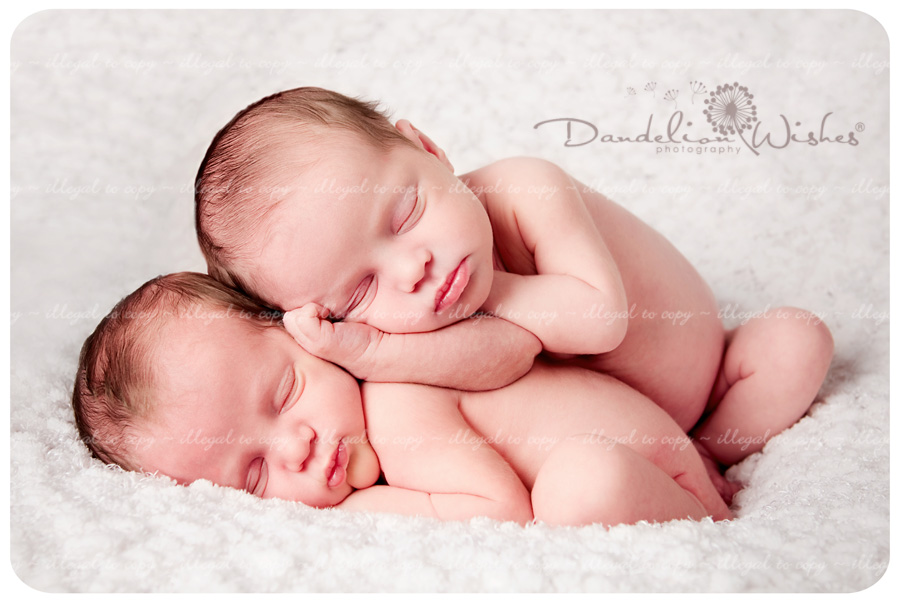 Creative newborn photography for twins and multiples near Vienna, Virginia.  Twins photographer.