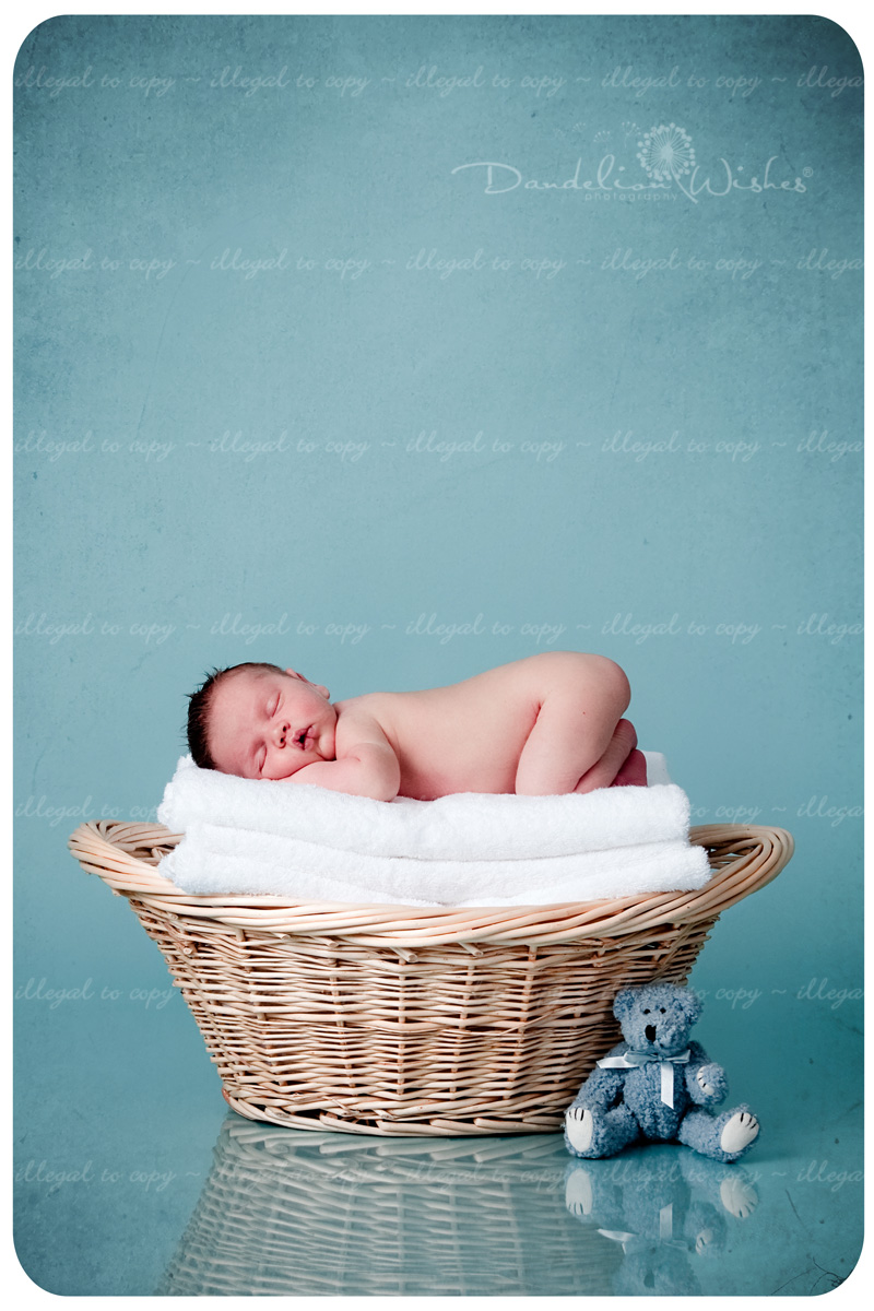 Artistic newborn baby pictures near Gainesville, Virginia just a short drive from the Washington DC Metro area. 